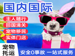 查干湖空运地址国际宠物托运 【国